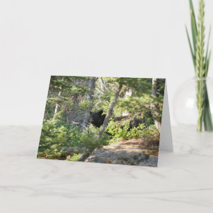 Tarjeta Oso negro en Grand Teton