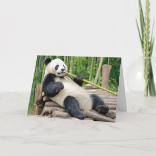 Tarjeta Oso Panda Cumpleañero Mordisqueando un Tallo de Ba