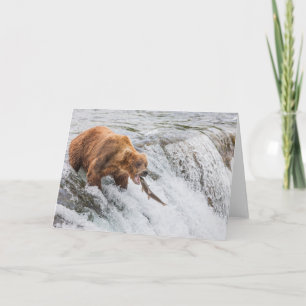 Tarjeta Oso pardo atrapa salmón rojo