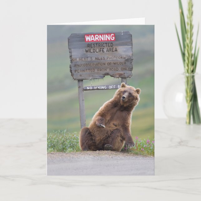 Tarjeta Oso Pardo Juega Con Señal (Anverso)