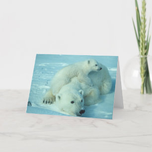 Tarjeta Oso polar con el cachorro