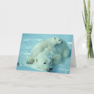 Tarjeta Oso polar con el cachorro