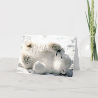 Tarjeta Oso polar Cub