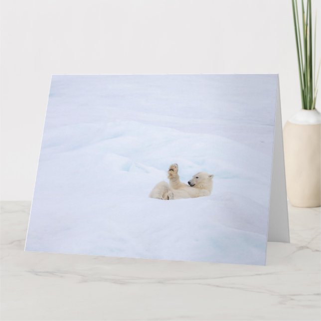 Tarjeta Oso polar en la nieve (Anverso)