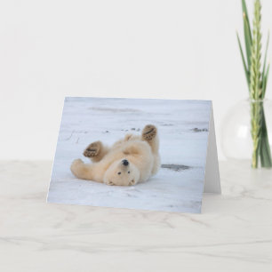 Tarjeta oso polar, Ursus maritimus, cachorro rodando 3