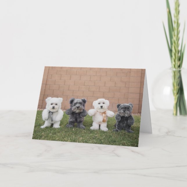 Tarjeta Osos de peluche (Anverso)