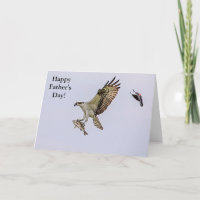 Osprey siendo perseguido por un pájaro anaranjado 