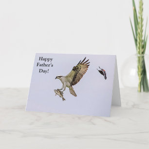 Tarjeta Osprey siendo perseguido por un pájaro anaranjado 