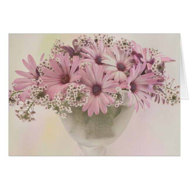 Tarjeta Osteospernum Rosa (Anverso (Horizontal))