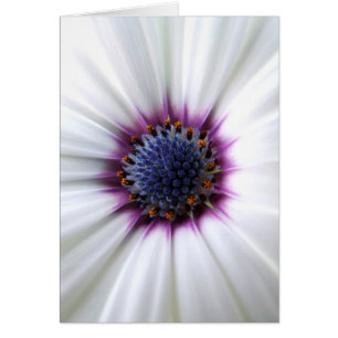 Tarjeta Osteospurmum