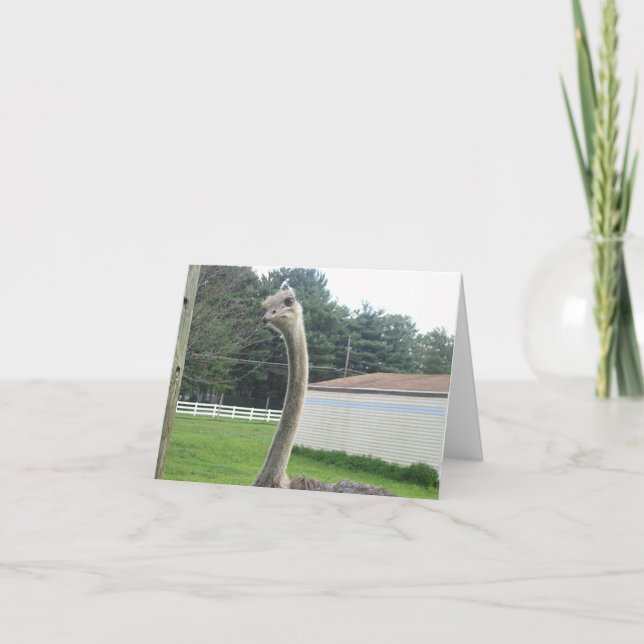 Tarjeta Ostrich