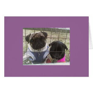 Tarjeta Otis & Maddie