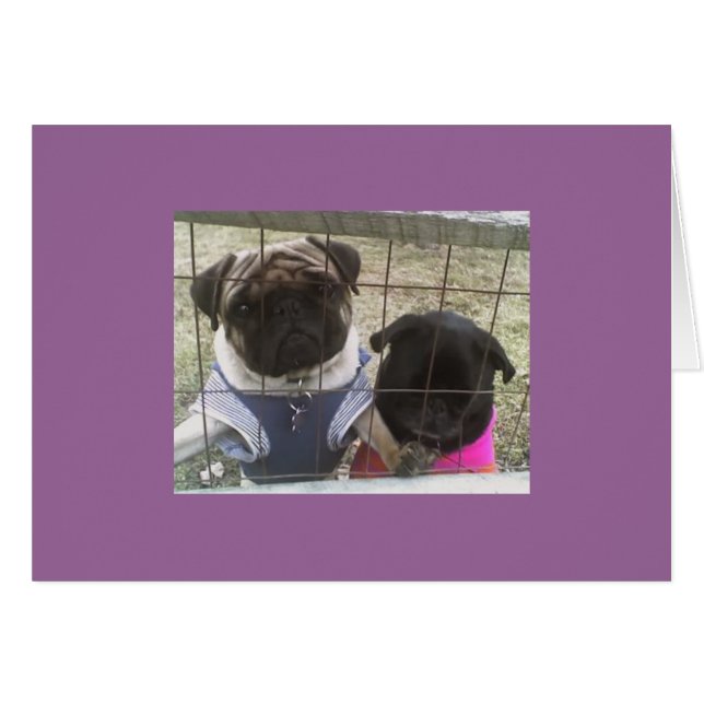 Tarjeta Otis & Maddie (Anverso (Horizontal))