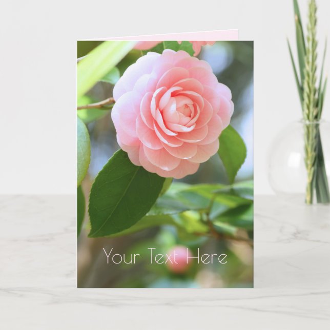 Tarjeta Otome-tsubaki: Camellia [Greeting Card] (Anverso)