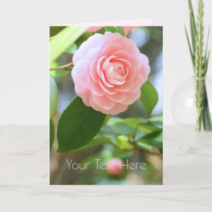 Tarjeta Otome-tsubaki: Camellia [Greeting Card]