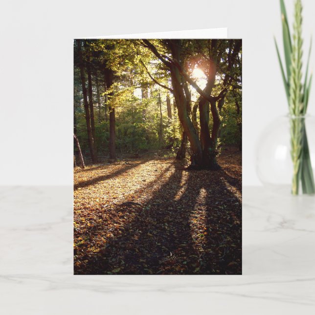 Tarjeta Otoño | (Anverso)
