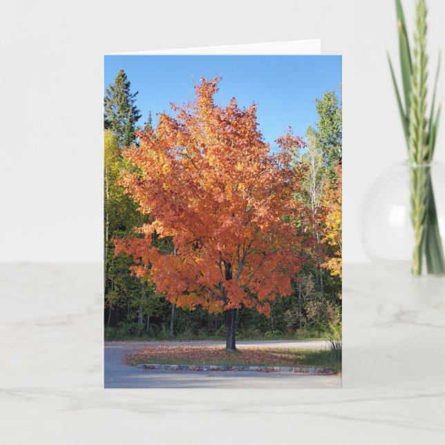 Tarjeta Otoño (Anverso)