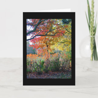 Tarjeta Otoño