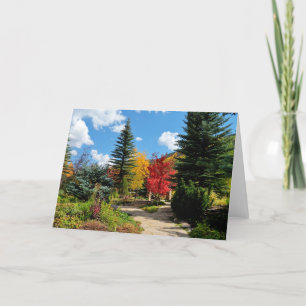 Tarjeta Otoño de Vail