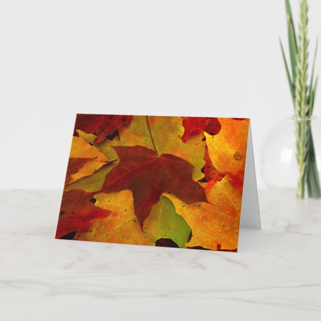 Tarjeta Otoño del río Eagle (Anverso)