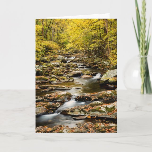 Tarjeta Otoño en Big Creek (Anverso)
