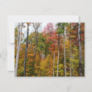 Tarjeta Otoño en el bosque Fotografía colorida de otoño