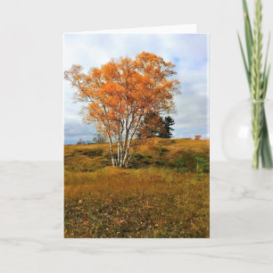Tarjeta Otoño en el lago Michigan