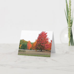 TARJETA "OTOÑO EN EL PAÍS" MICHIGAN LOCALE