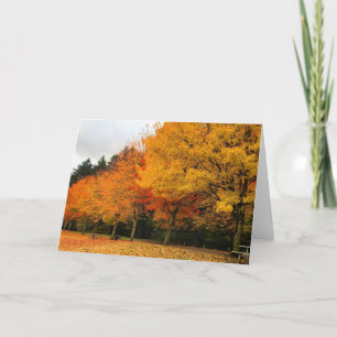 Tarjeta Otoño en el parque, Oregón