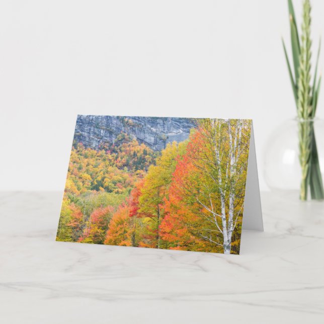 Tarjeta Otoño en Grafton Notch State Park, Maine (Anverso)