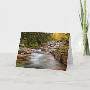 Tarjeta Otoño en Jefferson Brook, New Hampshire