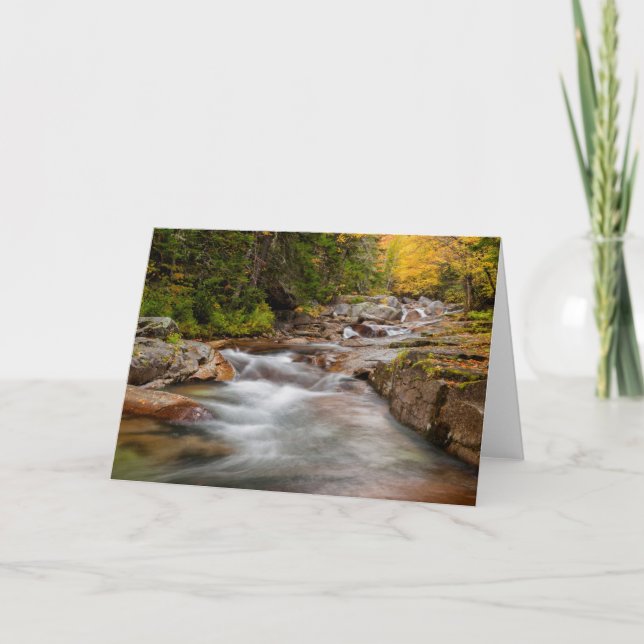 Tarjeta Otoño en Jefferson Brook, New Hampshire (Anverso)