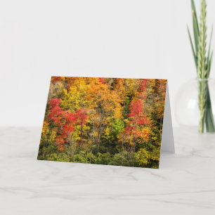 Tarjeta Otoño en Sims Pond North Carolina, Blue Ridge