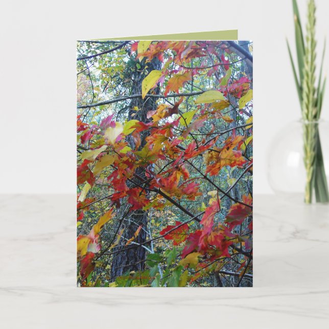 Tarjeta Otoño encarnado (Anverso)