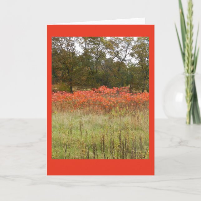 Tarjeta Otoño Sumac Blank Notecard (Anverso)