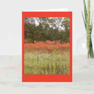 Tarjeta Otoño Sumac Blank Notecard