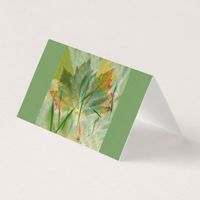 Tarjeta Otoño tardío (Anverso)