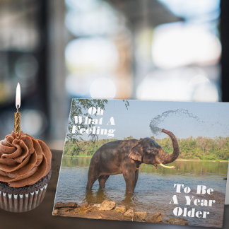 Tarjeta Otro Año Más Viejo y Sigue Celebrando Cumpleaños