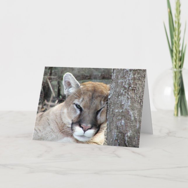 Tarjeta Otro cougar de lunes (Anverso)