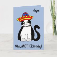 ¡Otro cumpleaños! Un gato lindo en el gorra. Feliz