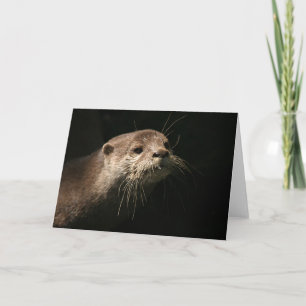 Tarjeta Otter