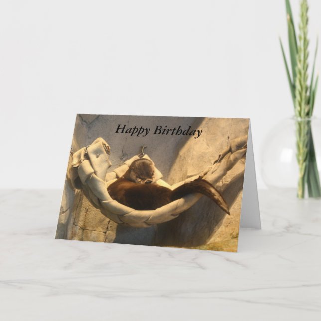 Tarjeta Otter In Hammock (Anverso)