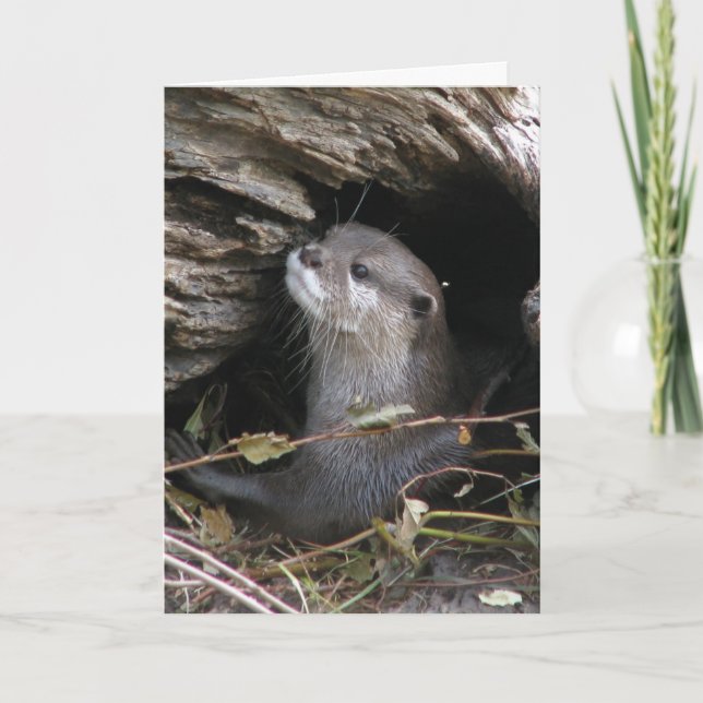 Tarjeta Otter-ly Delight (Anverso)