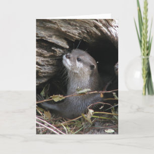 Tarjeta Otter-ly Delight