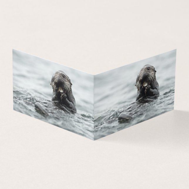 Tarjeta Otter marino adorable (Exterior)