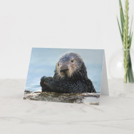 Tarjeta Otter marino de California jugando con piedra
