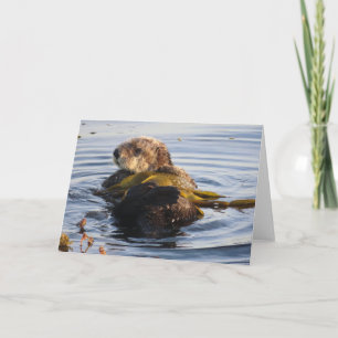 Tarjeta Otter marino envuelto en Kelp