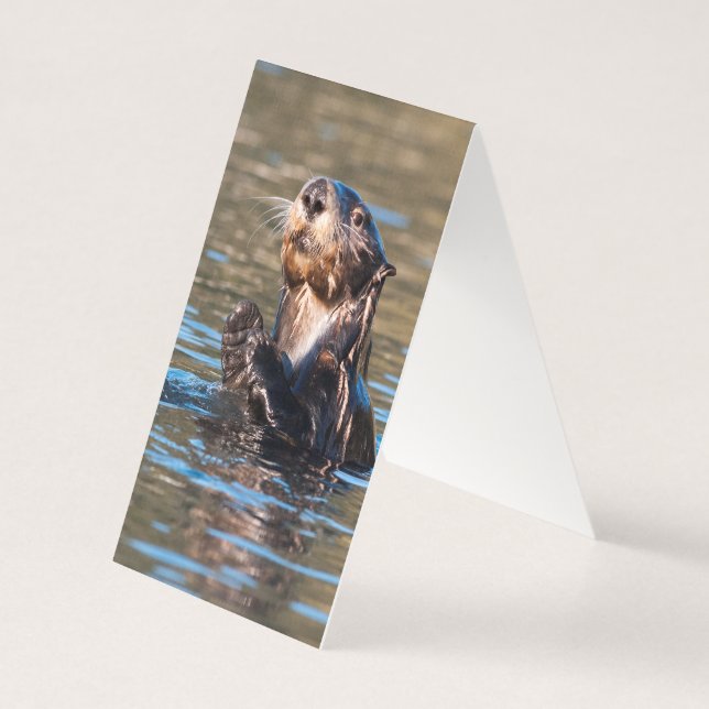 Tarjeta Otter marino Sunny (Reverso)