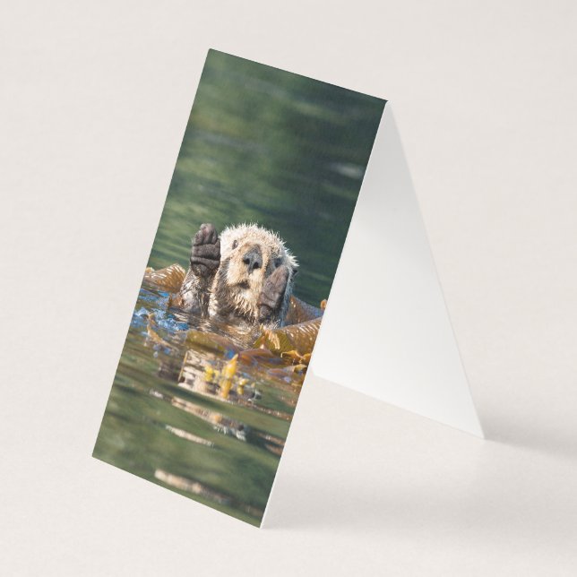 Tarjeta Otter Sea Otter (Reverso)