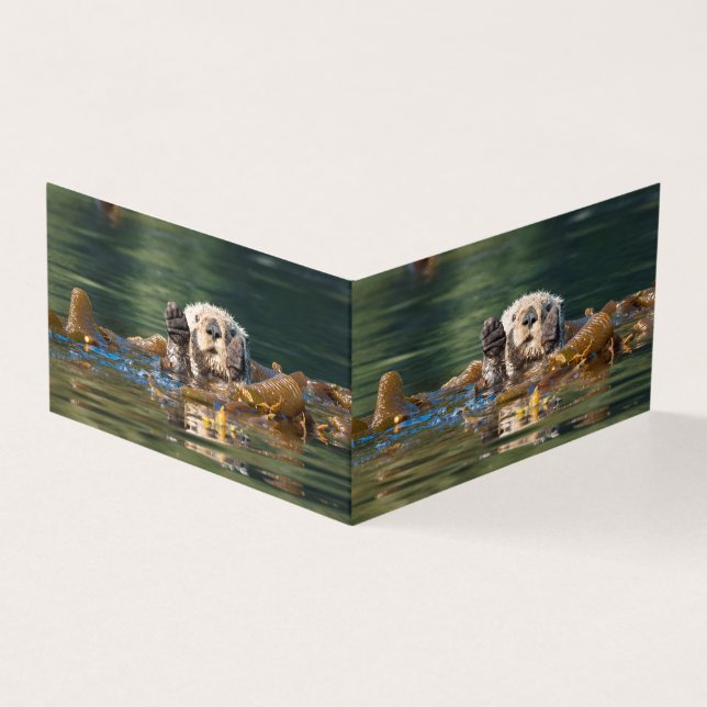 Tarjeta Otter Sea Otter (Exterior)